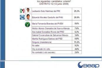 Empate en la capital; cae AN, mejora PRI; sube voto nulo