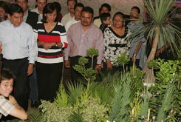 Genera producción de flores un valor de 625 mdp al año