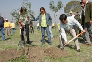 Reconoce Federación a Puebla por reforestación