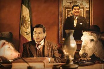 El escándalo legal del María Luisa Pacheco