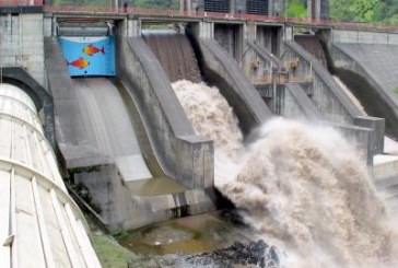 Denuncian hostigamiento en la sierra norte para favorecer proyecto hidroeléctrico