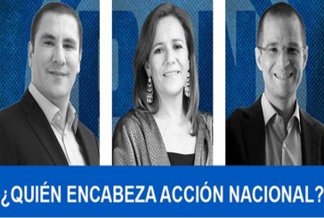 ¿Quién encabeza las preferencias del PAN la Presidencia de la República?