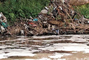 Proponen endurecer castigo contra agresores del medio ambiente