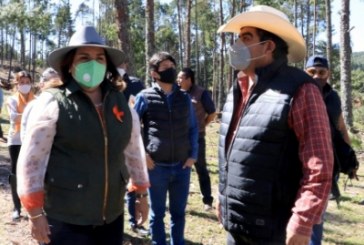 Promoverá Medio Ambiente acciones de recuperación forestal en Ahuazotepec