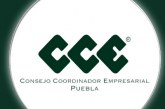 Elegirán nueva presidente del CCE a finales de noviembre