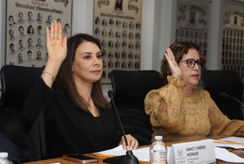 Presenta Comisión de Organizaciones No Gubernamentales del Congreso Informe Anual de Trabajo |