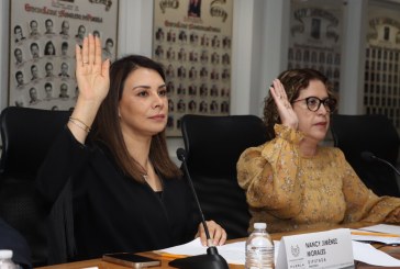 Presenta Comisión de Organizaciones No Gubernamentales del Congreso Informe Anual de Trabajo |