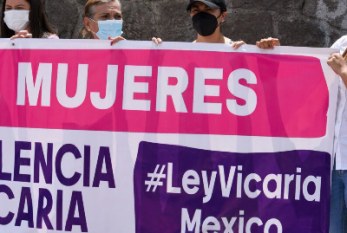 Reclaman integración de perfiles que van contra la Ley Vicaria