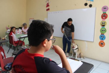 NIÑAS Y NIÑOS DE ATLIXCO, RECIBEN PLÁTICA EDUCATIVA Y DE CONCIENTIZACIÓN: “NO AL MALTRATO ANIMAL”.