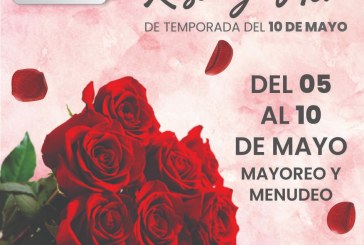 ROSAS Y GRAN VARIEDAD DE FLORES PUEDES ENCONTRAR PARA ESTE 10 DE MAYO EN LA PLAZUELA SANTA RITA, ATLIXCO.