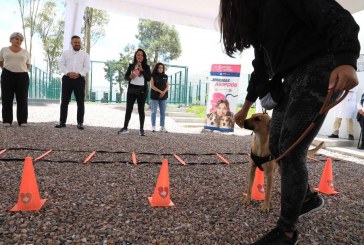 INICIA LA SEMANA DEL BIENESTAR ANIMAL EN PUEBLA CAPITAL