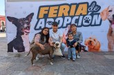 ARIADNA AYALA IMPULSA ADOPCIÓN DE LOMITOS RESCATADOS EN ATLIXCO