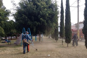Realiza Gobierno de la Ciudad labores de mantenimiento y limpieza en colonias de la ciudad