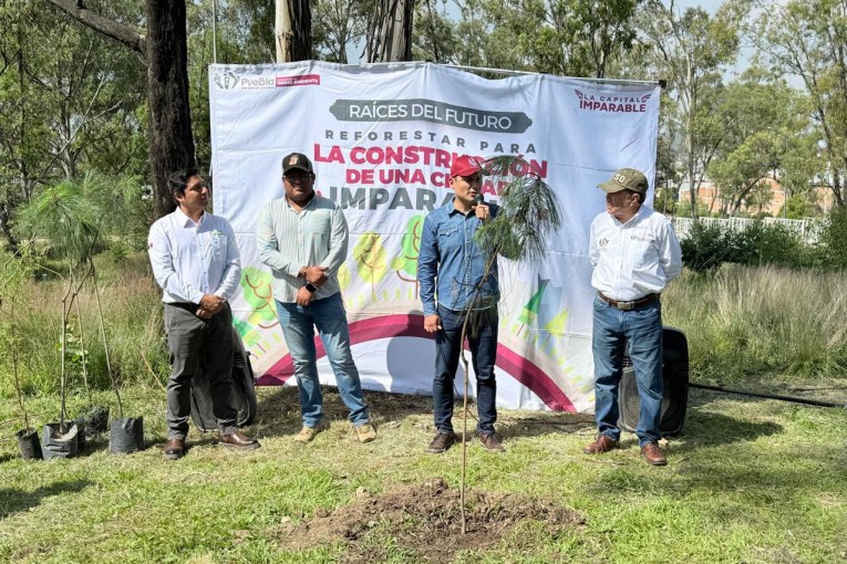 Gobierno de la Ciudad impulsa una Puebla más verde: 520 nuevos árboles para fortalecer nuestras áreas verdes