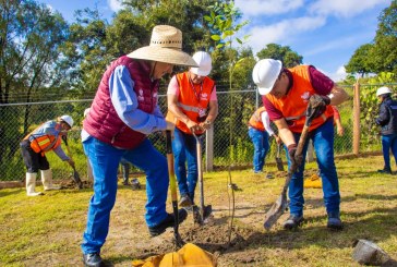Gobierno de la Ciudad realiza acciones de producción de composta para reforestación en Puebla