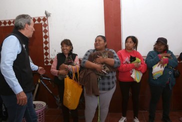 Realiza Gobierno de la Ciudad acciones en favor del bienestar animal en la capital