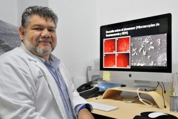 Investigador de la Facultad de Ciencias Biológicas desarrolla biosensores para detectar bacterias patógenas y toxinas