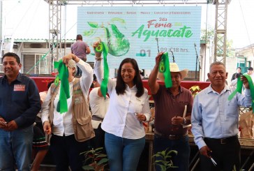 ARIADNA AYALA IMPULSA A LOS PRODUCTORES LOCALES CON LA FERIA DEL AGUACATE 2025