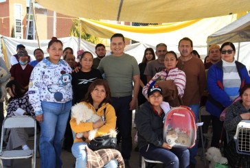 Gobierno de Pepe Chedraui realiza jornadas de bienestar animal en diversas colonias
