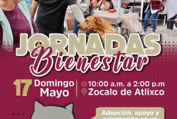 Ariadna Ayala lleva bienestar y apoyo directo a las familias de Atlixco