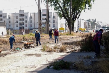 Refuerza Gobierno de Pepe Chedraui mantenimiento en bajo puentes de la capital