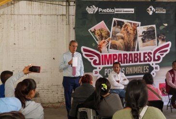 Pepe Chedraui acerca servicios gratuitos de bienestar animal a San Pablo Xochimehuacan