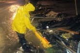 PAN acusa omisiones del Soapap y gobiernos para mitigar afectaciones por lluvias