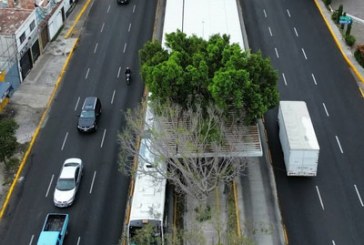 En septiembre iniciarán pavimentaciones en la capital con crédito por 440 mdp
